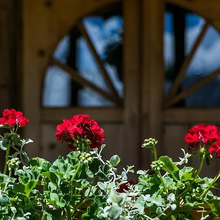 Chalet Dom Góralski Krupówki *