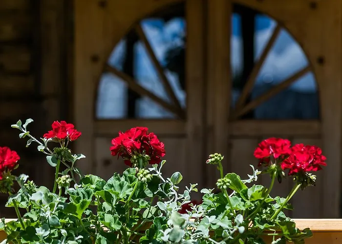 Chalet Dom Goralski Krupowki *